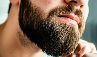 Beard Care on a Budget: Quality Grooming Without Breaking the Bank