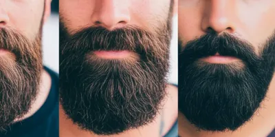 Oil vs Balm: The Ultimate Beard Product Showdown