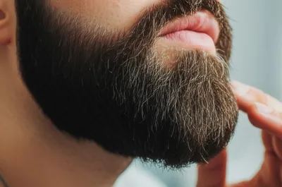 Hydration Heroes: The Best Winter Moisturizers for Your Beard and Skin