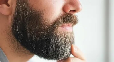 Late Winter Beard Challenges: Solutions for the Final Stretch